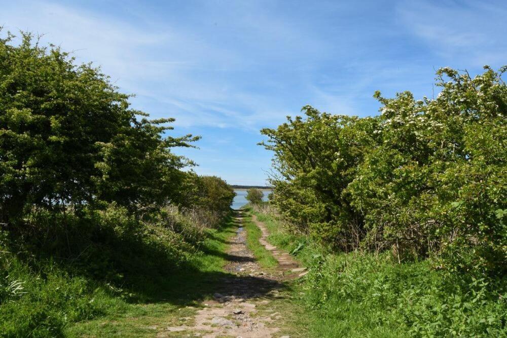 Kittiwake Cottage, Budle Bay بامبورغ المظهر الخارجي الصورة